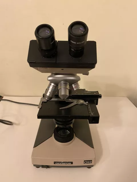 Olympus CH-2 Cht Binocolo Microscopio Obiettivi E A4 A10 A100 Olio, Cwhk 10x /