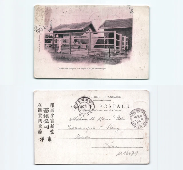 (n16079)   botanischer Garten Saigon Elefantengehege 1904   Ansichtskarte I