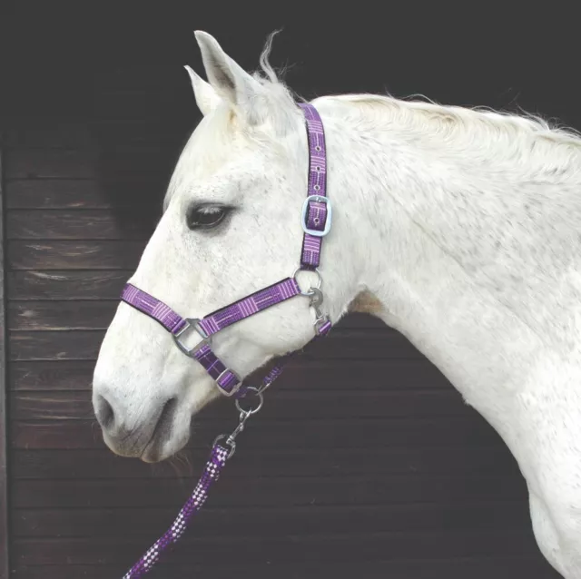 Headcollar & Lead rope Set Cob