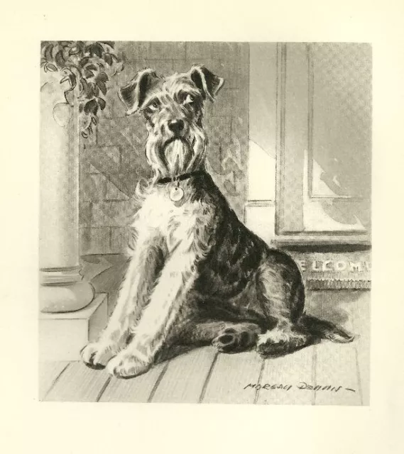 Airedale Terrier - CUSTOM MATTED - Vintage Dog Art Print - 1947 M. Dennis