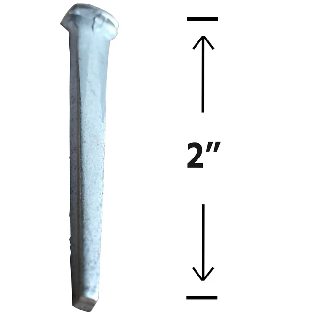 4" - Common Rose Head - Antique Restoration nail - Steel nail with dimple top 3