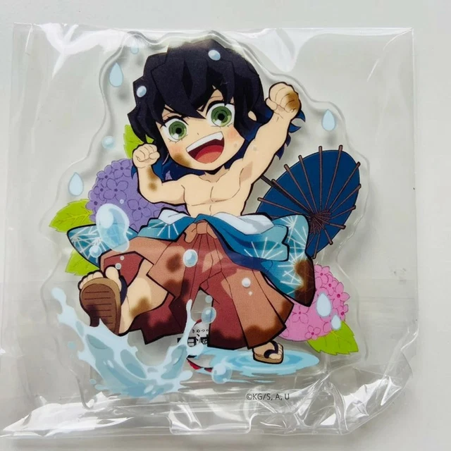 Demon Slayer: Kimetsu no Yaiba Hashibira Inosuke Hoodie Anime Cartoon Anime 3D Cat