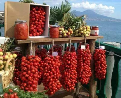 50 graines de tomates PIENNOLO DEL VESUVIO avec GRATUIT