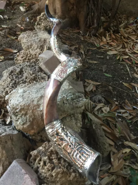 Unique Shofar 68" Sterling Silver Plated Polished Yemenite Kudu Horn Jerusalem