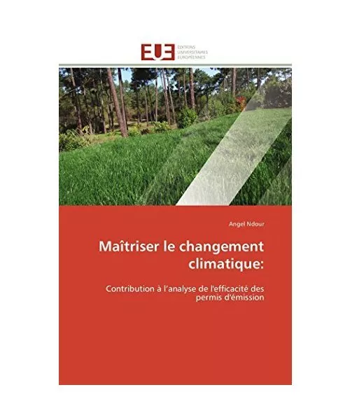 Maîtriser le changement climatique:: Contribution à l¿analyse de l'efficacit?