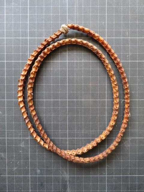 Magische Kette / Necklace aus Schlangenwirbeln, Philipinen