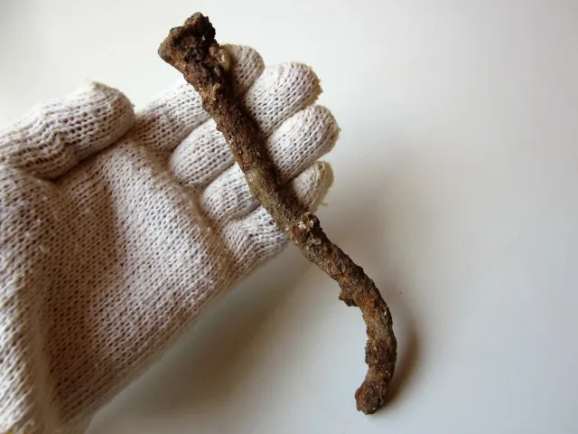 very rare ancient Roman large iron nail for crucifixion 1-2 century AD