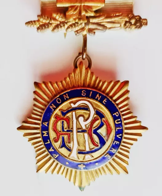 Authentic WW2 Masonic RAOB Royal Order of Buffaloes Roll Of Honor Lodge Medal 2