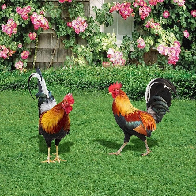 2 Ã Hahn Huhn Statue fÃ1⁄4r Outdoor Garten Hof Dekoration Kunst Figur Skulptur 3