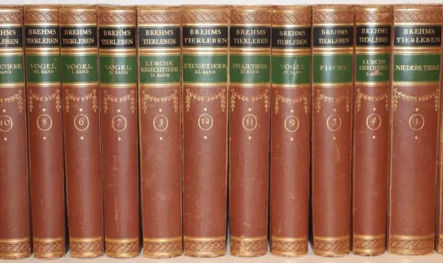 Brehms Tierleben,Allgemeine Kunde Des Tierreichs,13 Bände,Farbtafeln,1925,Rar