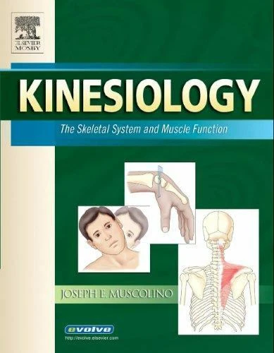 KINESIOLOGY: THE SKELETAL System and Muscle Function by Muscolino