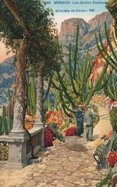 Cpa Monaco Les Jardins Exotiques Carte Colorisee Et Animee