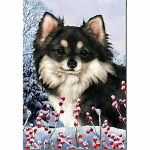 Winter House Flag - Longhaired Black and White Chihuahua 15358