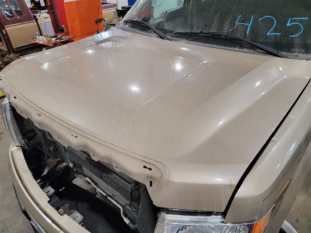 Hood Fits 09-14 FORD F150 PICKUP 544849
