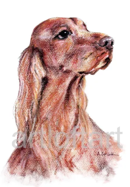 IRISH SETTER   DOG  ACEO Card Print by A Borcuk    2.5"x3.5"