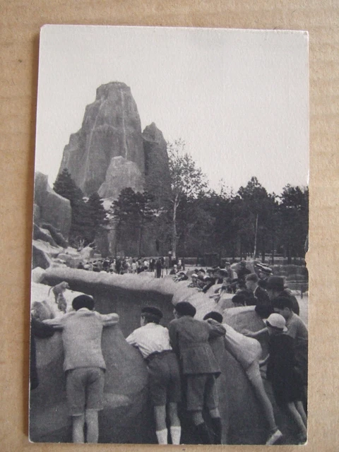 Cpa (75) Porc Zoologique Du Bois De Vincennes, Paris, Rock Mountain Animals