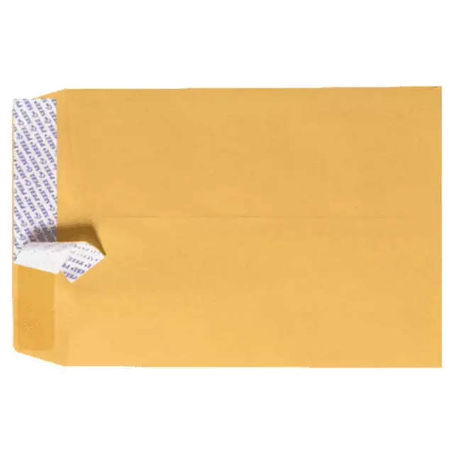 6 x 9 Open End Envelopes, Brown Kraft, 50/Pack