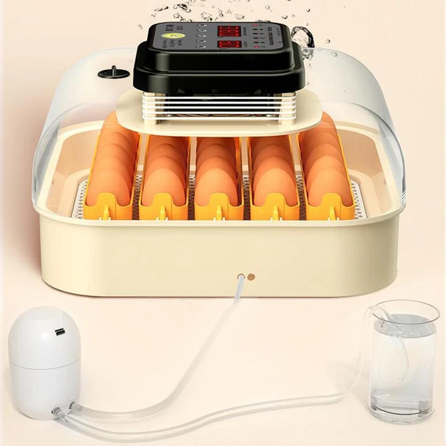 AWHAO Incubateur pour Oeufs à Couver, Couveuse de Poulet, Couveuse D