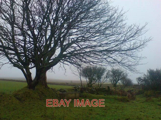 Photo  Wolfsdale Pembrokeshire Remains Of Stone Cottage On Robleston Mountain Th