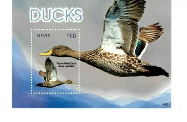 Nevis - 2014 -  Ducks  - Souvenir Sheet  - MNH