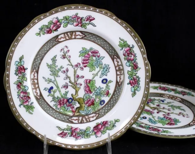 Coalport Indien Arbre Multicolore Échancré Groupe De 2 Déjeuner Assiettes