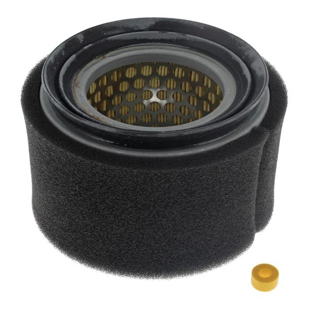 Lombardini Air Filter Cleaner - Replacement for 15LD440B1, 15LD225