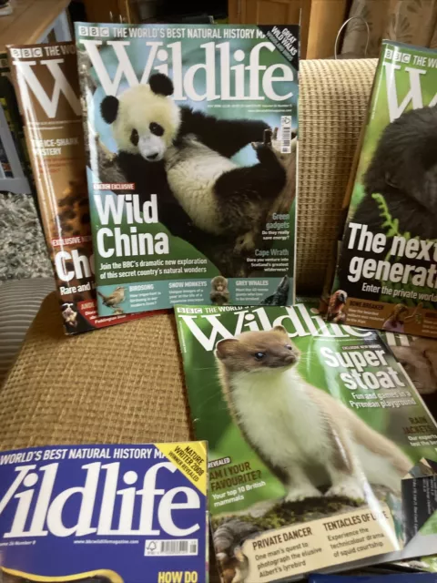 BBC Wildlife Magazines x12- 2008 + Summer Special