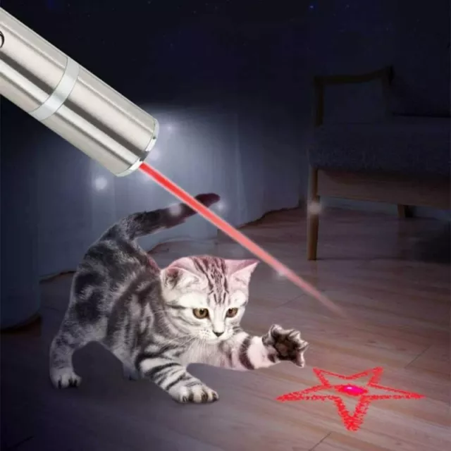 LED Flashlight Red Beam UV Light Cat Laser Pointer Toy Torch USB Rechargeable