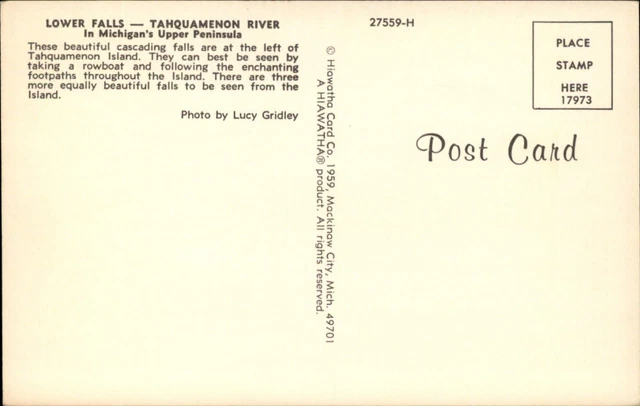 Michigan Lower Falls Tahquamenon River ~ 1970s vintage postcard  sku777 2