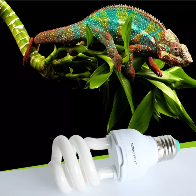 Reptile 10.0 UVB 13W Compact Light Fluorescent Desert Terrarium Lamp Bulb UK
