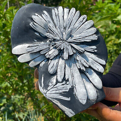 4.3LB  Natural chrysanthemum stone quartz carving aura healing gift 159