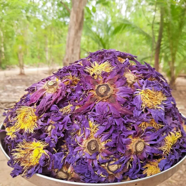 10lb Dried BLUE LOTUS Nymphaea Caerulea Organic Herbal Hand Picked Pure Flowers