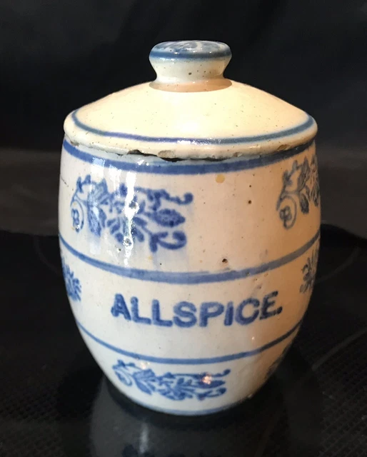 Small Blue & White Wildflower Allspice Canister Spice Jar Stoneware Brush McCoy