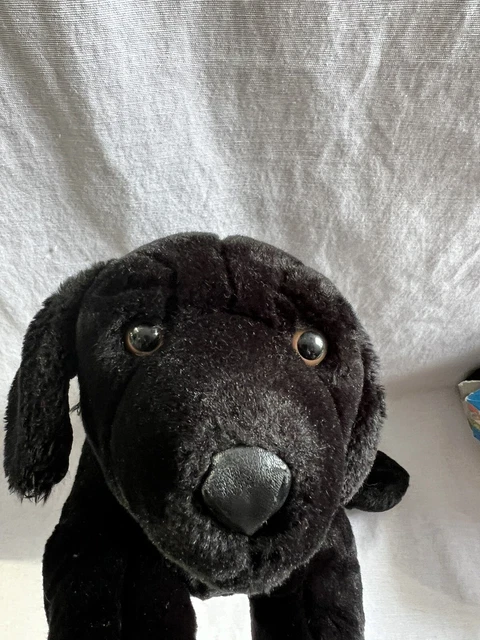 Animal alley deals black lab