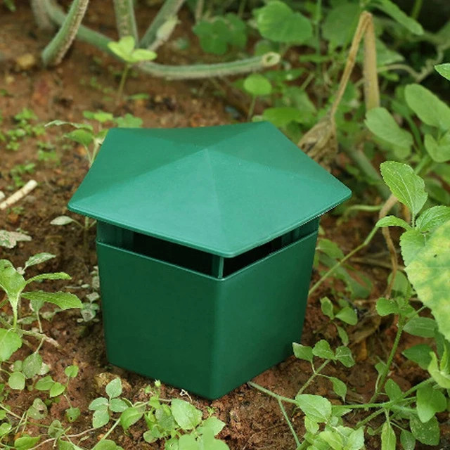Piège antiparasitaire de jardin éco-conscient pour protection des légumes et