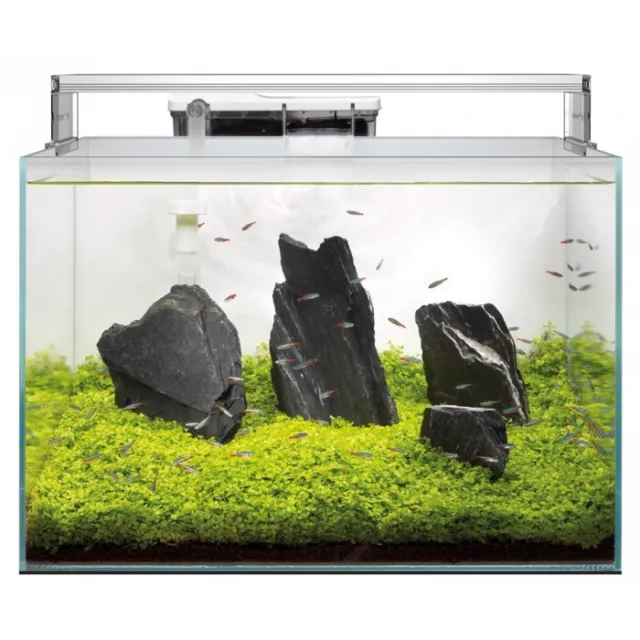 Superfish Scaper 45 Aquarium Fish Tank Set - Light & Filter - Low Iron Optiwhite