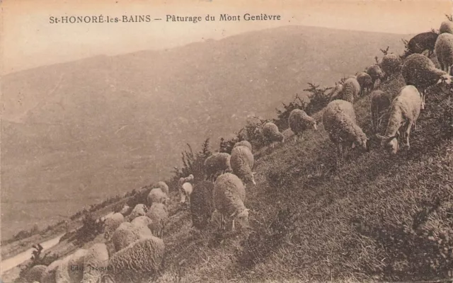58 Saint-Honoré-les-Bains. Pasture of Mount Geneva. 69707