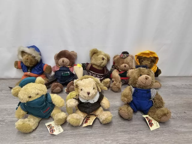 The Teddy Bear Collection Bundle Of 8