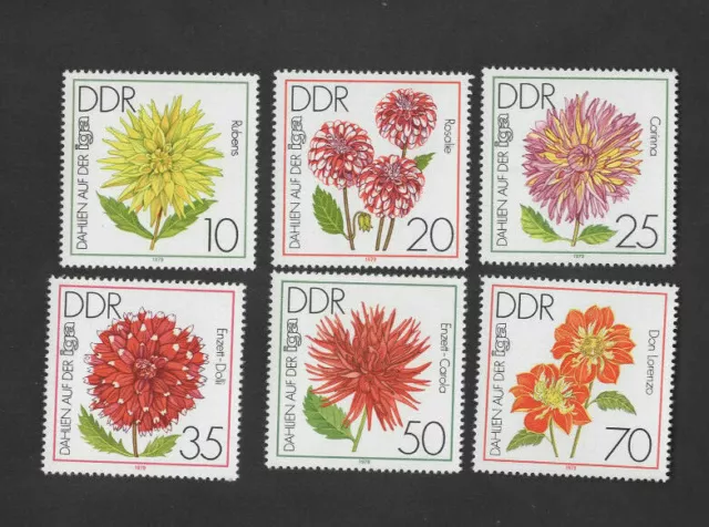 DDR MI.2435 -2440 Dahlien, IGA Erfurt 1979, Satz  postfrisch Blumen Neugummi Lot