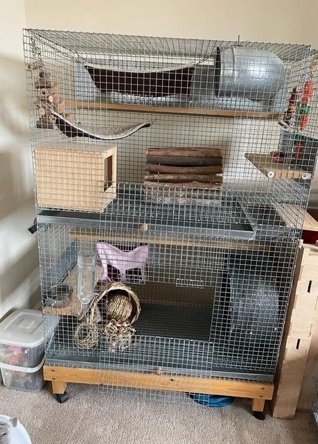 Paul sales spooner chinchilla