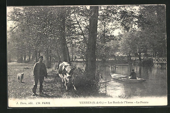 CPA Yerres, les Bords de l´Yerres, la Prairie