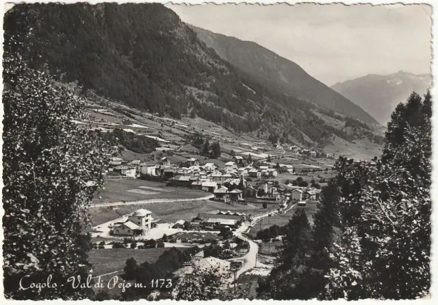 Cogolo - Val Di Pejo - Trento - Viagg. 1954 -95618-