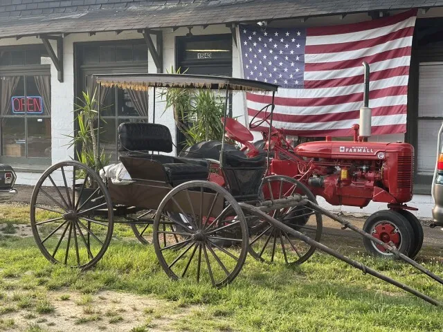 1890's Surrey Buggy     One Family Owned from Charlottesville Farm !