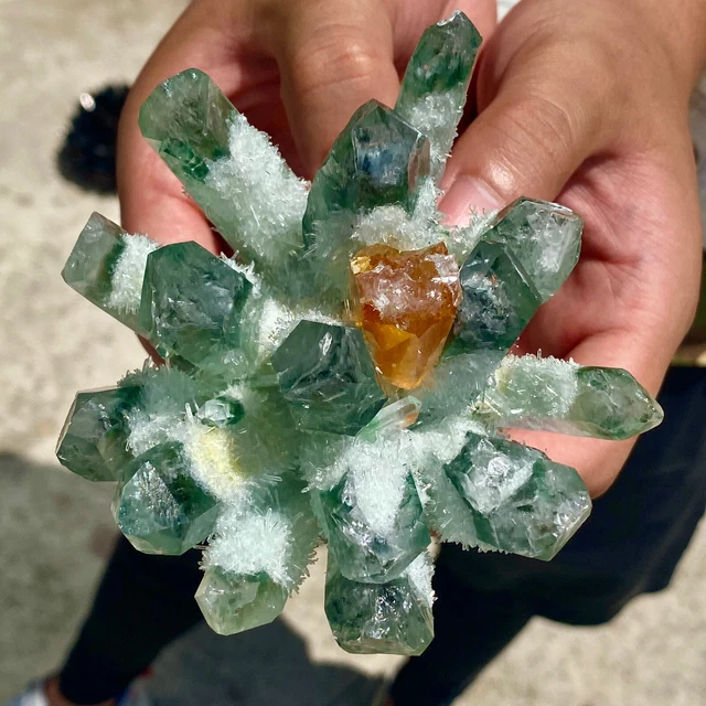 1.2LB New Find Green Phantom Quartz Crystal Cluster Mineral Specimen Healing 3