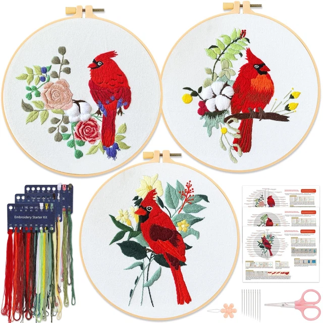 Bradove Kit da ricamo con foglie e fiori per principianti, kit da ricamo per adu