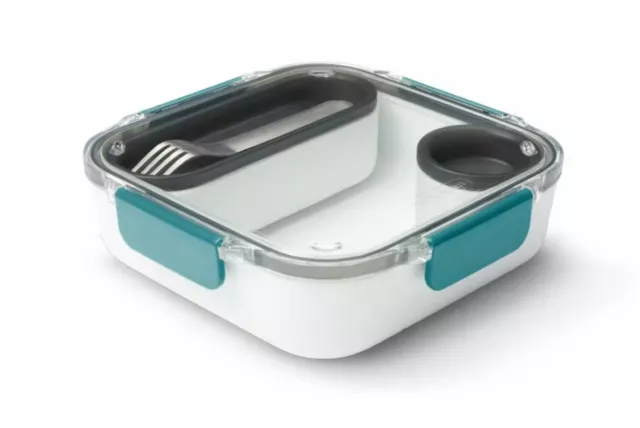 Lunch Box with Stainless Steel Fork _ Black and Blum _ Leak-proof (1000 ml)