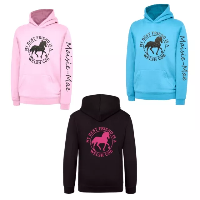 Personalised Horse Design My Best Friend Is A Welsh Cob Hoodie - Gift