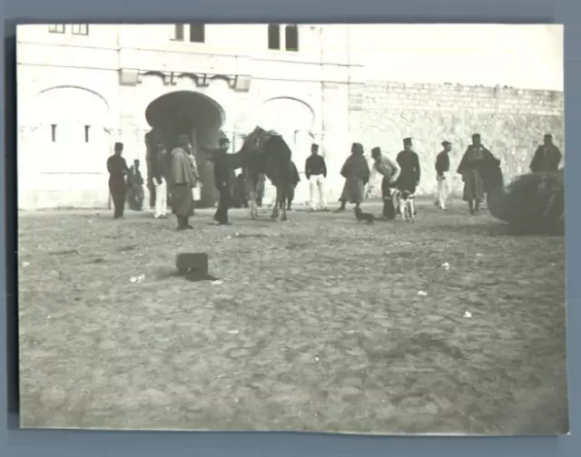 Algérie, El Goléa (El Menia المنيعة), Entrée du Bordj de El Goléa  Vintage silve