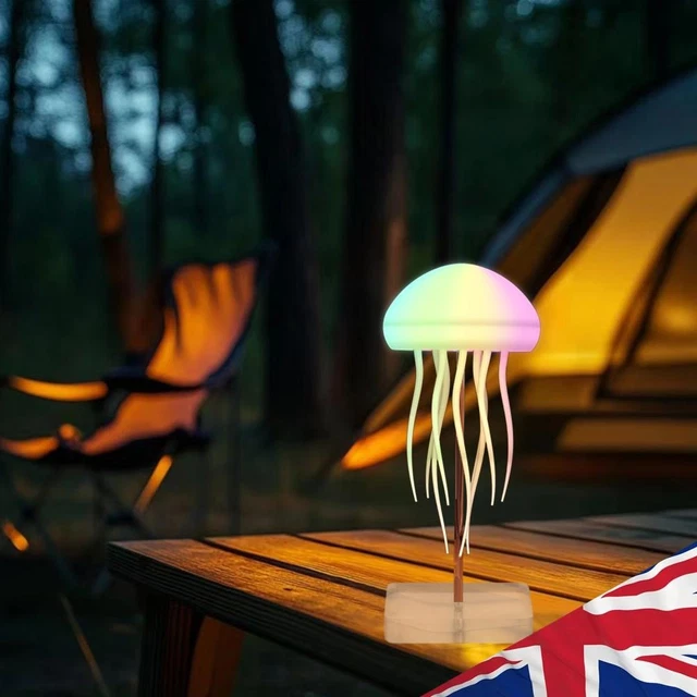 LED GRADIENT JELLY Fish Light with Acrylic Base RC Touch Desk Lamp ...