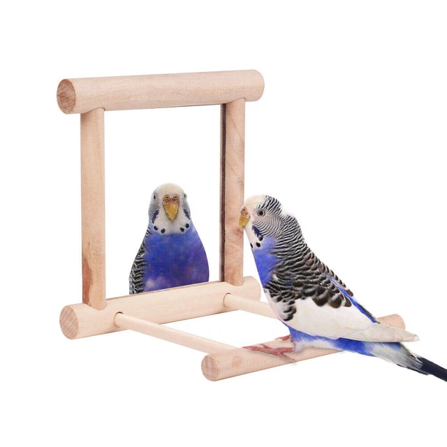 Vogelspielzeug Käfig Schaukel Kauen Holzspiegel für Papagei Sittich Conure 3